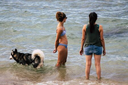 Tel Aviv Israel October 05, 2019 View of unknowns dog having fun on the beach of Tel Aviv in the...