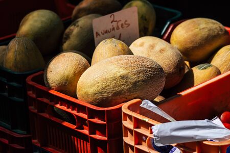 Limassol Cyprus June 13, 2020 View of various vegetables sold at the market of Limassol in Cyprus islandの写真素材