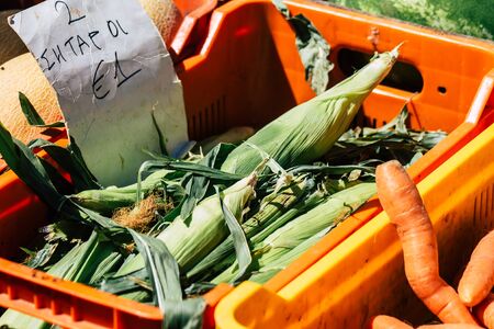 Limassol Cyprus June 13, 2020 View of various vegetables sold at the market of Limassol in Cyprus islandの写真素材