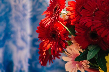 Limassol Cyprus June 13, 2020 Closeup of colorful flowers sold at Limassol market in Cyprus islandの写真素材