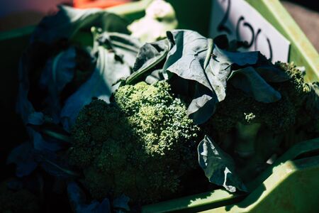 Limassol Cyprus June 13, 2020 View of various vegetables sold at the market of Limassol in Cyprus islandの写真素材