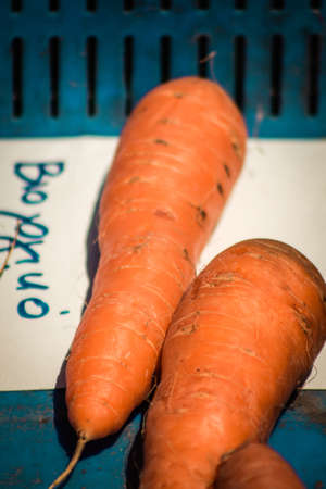 Limassol Cyprus June 27, 2020 View of various fresh vegetables sold at the market of Limassol in Cyprus islandのeditorial素材
