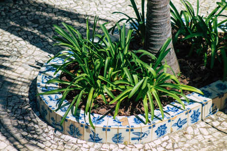 Lisbon Portugal july 31, 2020 View of a public garden located in the downtown area of Lisbon, the coastal capital city of Portugal and one of the oldest cities in Europeのeditorial素材