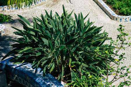 Lisbon Portugal july 31, 2020 View of a public garden located in the downtown area of Lisbon, the coastal capital city of Portugal and one of the oldest cities in Europeのeditorial素材