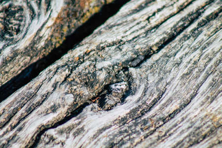 Closeup of a rustic wooden bridge spanning a pond in the french countryside in the fallの写真素材
