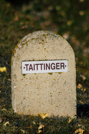 Reims France September 22, 2020 View of Taittinger Champagne house vineyard in early autumn in the countryside of Reims. Taittinger has know how in the service of the creation of exceptional productsのeditorial素材