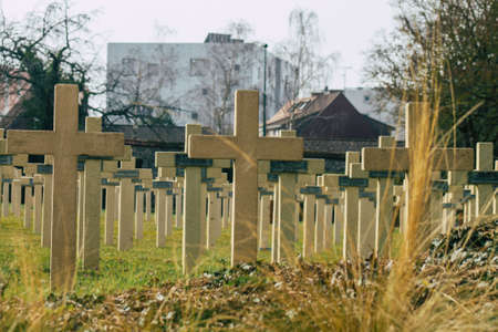 Reims France March 03, 2021 Graves of dead soldiers from the Great war buried in the military square of the cemetery of Reims in Franceのeditorial素材