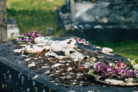Reims France March 03, 2021 Graves of citizens buried in the cemetery of the city of Reims during the coronavirus epidemic hitting Franceのeditorial素材
