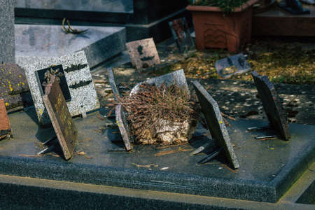 Reims France March 03, 2021 Graves of citizens buried in the cemetery of the city of Reims during the coronavirus epidemic hitting Franceのeditorial素材