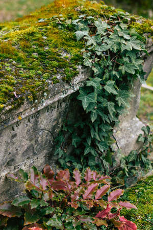 Reims France March 04, 2021 Ancien graves in the cemetery of the North, Built at the end of the 18th century and contains the remains of most of the citizens who distinguished themselves in the cityの写真素材