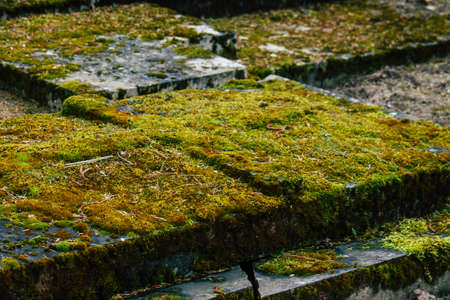 Ancien graves in the cemetery of the North, Built at the end of the 18th century and contains the...