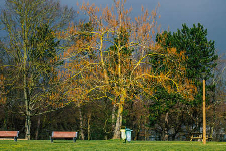 Empty public garden of the city of Reims during the coronavirus pandemic affecting Franceの写真素材
