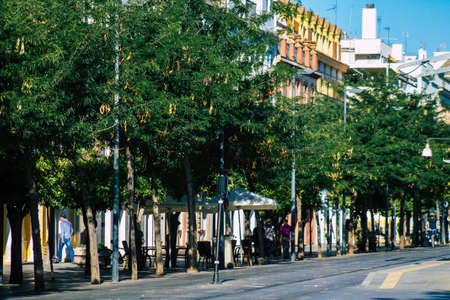 Seville Spain July 02, 2021 Urban landscape of the city of Seville, an emblematic city and the capital of the region of Andalusia, in the south of Spainのeditorial素材