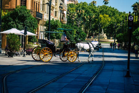 Seville Spain July 03, 2021 Horse drawn carriage ride through Seville. Travel through the historic center of Seville and during the carriage ride people will be able to contemplate the main monumentsの写真素材