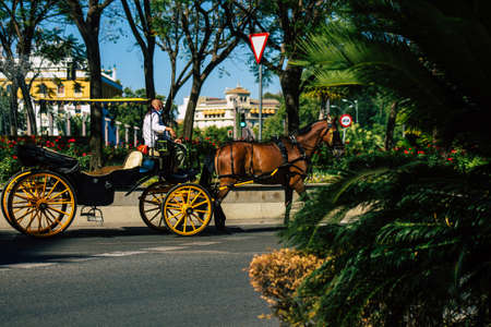 Seville Spain July 03, 2021 Horse drawn carriage ride through Seville. Travel through the historic center of Seville and during the carriage ride people will be able to contemplate the main monumentsの写真素材