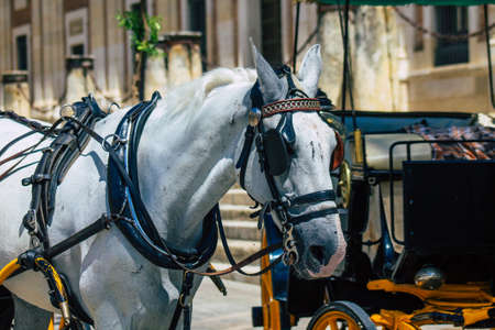 Seville Spain July 06, 2021 Horse drawn carriage ride through Seville. Travel through the historic...