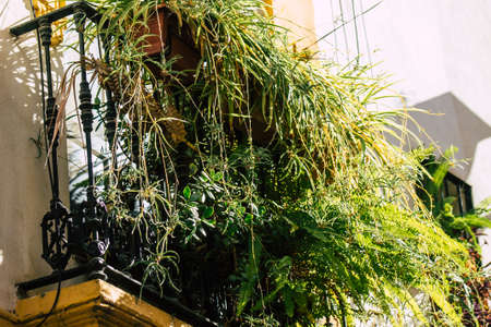 Seville Spain July 21, 2021 Facade of a building in the streets of Seville, an emblematic city and the capital of the region of Andalusia, in the south of Spainのeditorial素材
