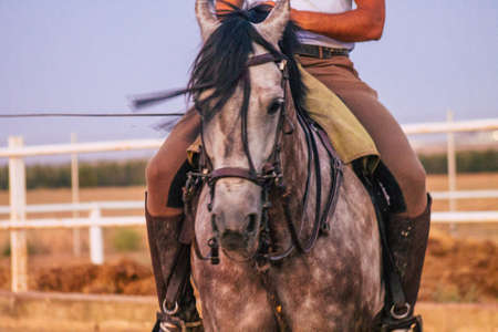 Carmona Spain July 26, 2021 Man ride a horse from Andalousia in the south of Spain