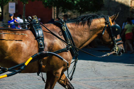 Seville Spain August 11, 2021 Horse drawn carriage ride through the historic center of Seville and during the carriage ride people will be able to contemplate the main monumentsの写真素材
