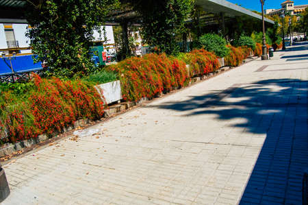 Seville Spain September 04, 2021 Cityscape of Seville, emblematic city and capital of the region of Andalusia, in the south of Spainのeditorial素材