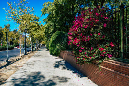 Seville Spain September 04, 2021 Cityscape of Seville, emblematic city and capital of the region of...