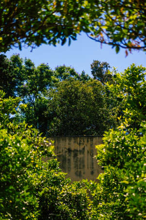 Seville Spain September 04, 2021 The Alcazar of Seville and its gardens is a fortified palace from the Muslim then Christian era. Considered the most brilliant example of Mudejar architecture in Spainのeditorial素材