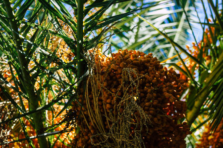 Seville Spain September 22, 2021 Cityscape of Seville, emblematic city and capital of the region of Andalusia, in the south of Spainの写真素材