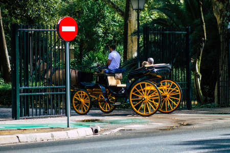 Seville Spain September 15, 2021 Horse drawn carriage ride through the streets of Seville during the coronavirus outbreak hitting Spain, wearing a mask is mandatoryのeditorial素材