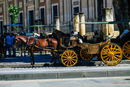 Seville Spain September 18, 2021 Horse drawn carriage ride through the streets of Seville during the coronavirus outbreak hitting Spain, wearing a mask is mandatoryのeditorial素材