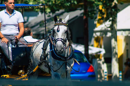 Seville Spain September 18, 2021 Horse drawn carriage ride through the streets of Seville during the coronavirus outbreak hitting Spain, wearing a mask is mandatoryのeditorial素材
