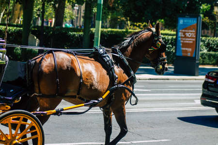 Seville Spain September 18, 2021 Horse drawn carriage ride through the streets of Seville during the coronavirus outbreak hitting Spain, wearing a mask is mandatoryのeditorial素材