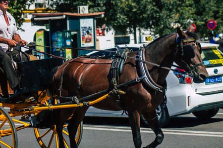 Seville Spain September 18, 2021 Horse drawn carriage ride through the streets of Seville during the coronavirus outbreak hitting Spain, wearing a mask is mandatoryのeditorial素材