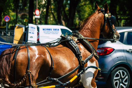 Seville Spain September 18, 2021 Horse drawn carriage ride through the streets of Seville during the coronavirus outbreak hitting Spain, wearing a mask is mandatoryのeditorial素材