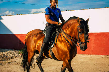 Seville Spain September 15, 2021 Unidentified Spanish people tending to horses at a hacienda in Andalusia in southern Spainのeditorial素材