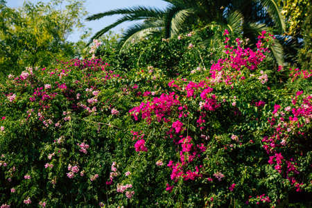 Seville Spain September 28, 2021 Maria Luisa Park is the first urban park and one of the green lungs...