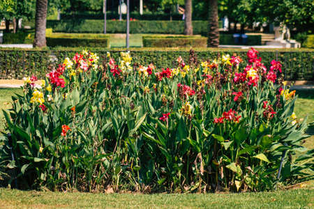 Seville Spain September 28, 2021 Maria Luisa Park is the first urban park and one of the green lungs of Seville, emblematic city and capital of the Andalusia regionの写真素材