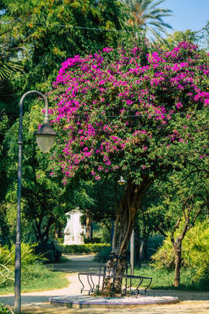 Seville Spain September 28, 2021 Maria Luisa Park is the first urban park and one of the green lungs of Seville, emblematic city and capital of the Andalusia regionの写真素材