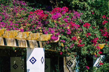 Seville Spain September 28, 2021 Maria Luisa Park is the first urban park and one of the green lungs of Seville, emblematic city and capital of the Andalusia regionの写真素材