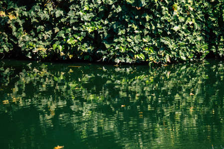 Seville Spain September 28, 2021 Maria Luisa Park is the first urban park and one of the green lungs of Seville, emblematic city and capital of the Andalusia regionの写真素材