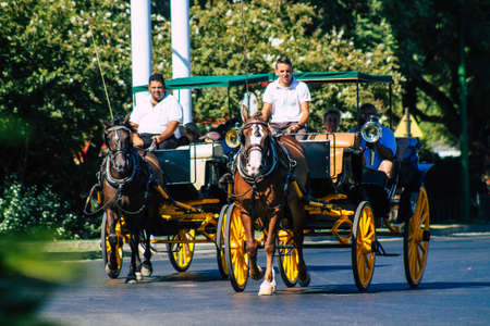 Seville Spain September 04, 2021 Horse drawn carriage ride through the streets of Seville during the coronavirus outbreak hitting Spain, wearing a mask is mandatoryのeditorial素材