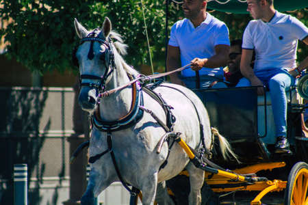 Seville Spain September 04, 2021 Horse drawn carriage ride through the streets of Seville during the coronavirus outbreak hitting Spain, wearing a mask is mandatoryのeditorial素材