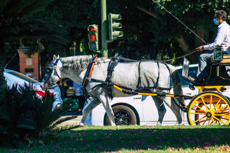 Seville Spain September 04, 2021 Horse drawn carriage ride through the streets of Seville during the coronavirus outbreak hitting Spain, wearing a mask is mandatoryのeditorial素材