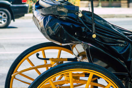 Seville Spain September 04, 2021 Horse drawn carriage ride through the streets of Seville during the coronavirus outbreak hitting Spain, wearing a mask is mandatoryのeditorial素材