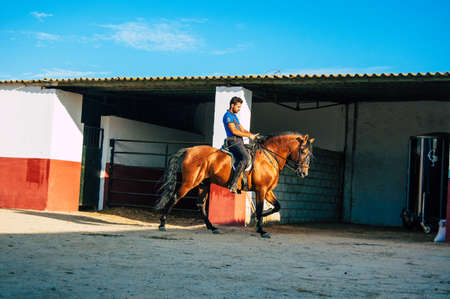 Seville Spain September 15, 2021 Unidentified Spanish people tending to horses at a hacienda in Andalusia in southern Spainのeditorial素材