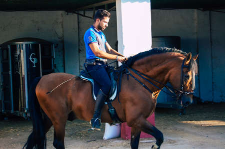 Seville Spain September 15, 2021 Unidentified Spanish people tending to horses at a hacienda in Andalusia in southern Spainのeditorial素材