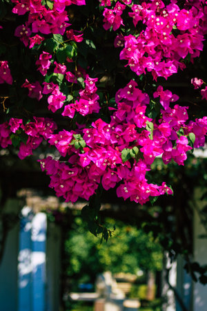 Seville Spain September 28, 2021 Maria Luisa Park is the first urban park and one of the green lungs of Seville, emblematic city and capital of the Andalusia regionのeditorial素材