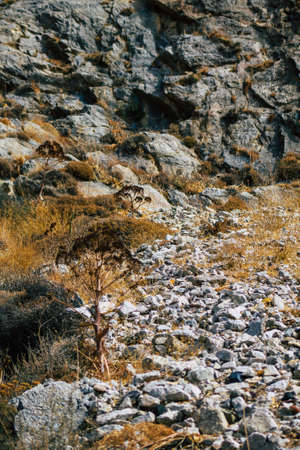 Santorini Island, Perissa, Greece - October 17, 2021 Ancient Thira hiking trail in Santorini,  the ancient path to Perissa leads you through the slopes of Profitis Elias and Mesa Vouno to the topの写真素材