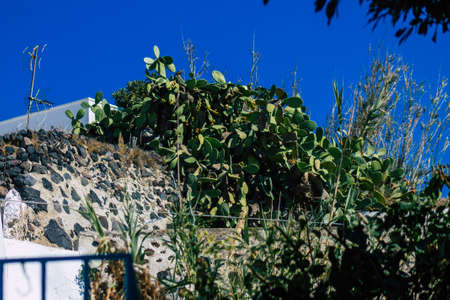 Santorini, Megalochori, Greece - October 24, 2021 Cityscape of Megalochori, the small traditional white houses typical of this island are perched on the side of the ancient active volcanoのeditorial素材