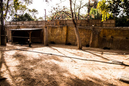 Limassol, Cyprus - December 12, 2021 Limassol Zoo, one of the biggest in Europe and hosts beautiful and interesting animals, natural-looking habitats were created for all types of animals of the zooの写真素材