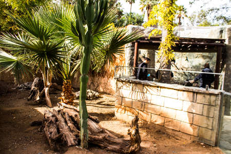 Limassol, Cyprus - December 12, 2021 Limassol Zoo, one of the biggest in Europe and hosts beautiful and interesting animals, natural-looking habitats were created for all types of animals of the zooの写真素材